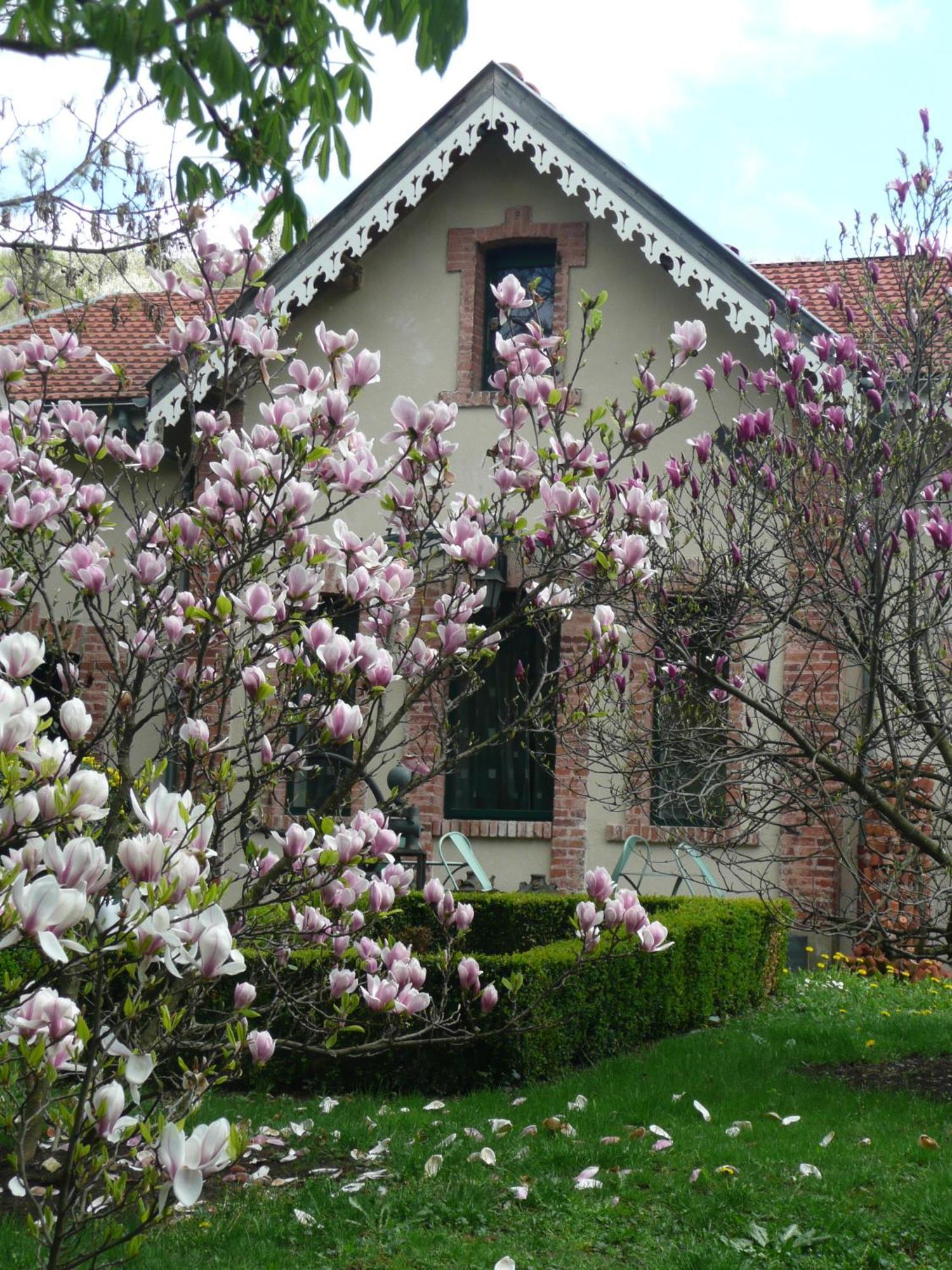 Au Fond De La Cour Bed & Breakfast Veyre-Monton Exterior photo
